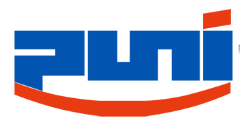 puni